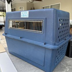 Large Dog Kennel 