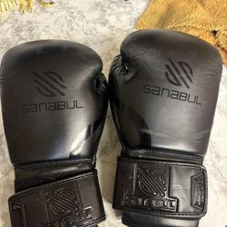 Sanabul Boxing Gloves 