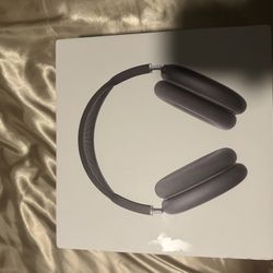 Air Pod Maxes