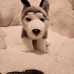Toys R Us Siberian Husky Dog 