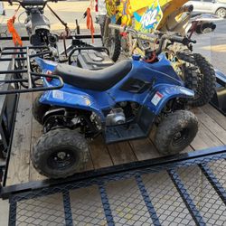 Tao Tao 110cc Quad (2020)
