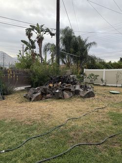 Firewood
