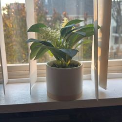 Fake Mini Plant 
