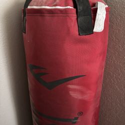 Punching Bag (just Bag)