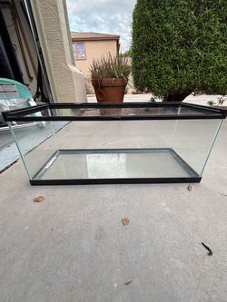 Glass Aquarium Tank with Black Frame