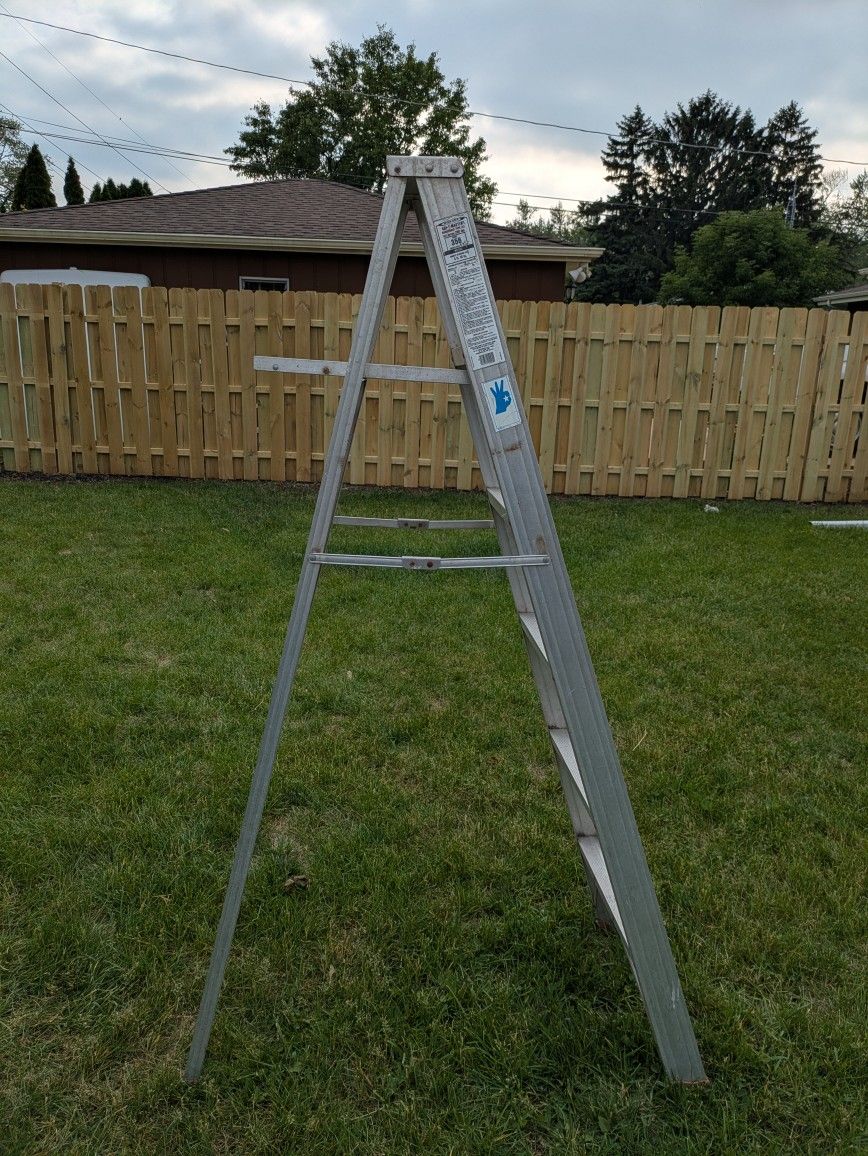 6 Foot Ladder