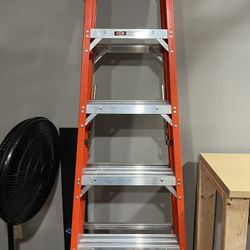 Professional Ladder