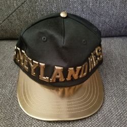 Disneyland Hat