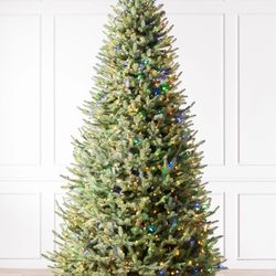 Balsam Hill Fraser Fir - 8  Ft