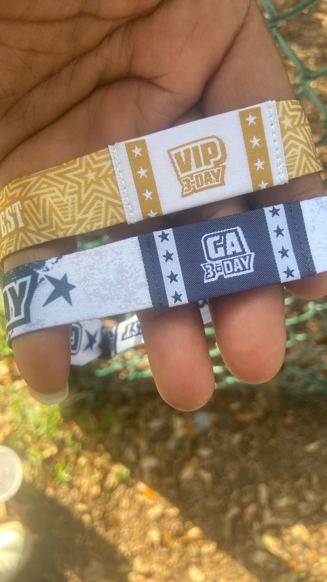 St Pete Country fest