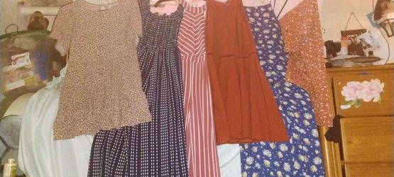 Women's Dressy Lot