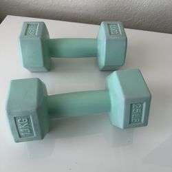 Weights Great Condition 2.5 Lb