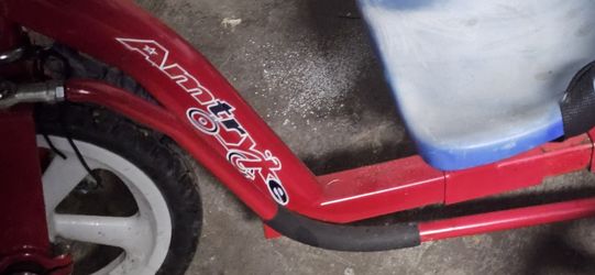 Tricycle For Speacial Kids Amtryke