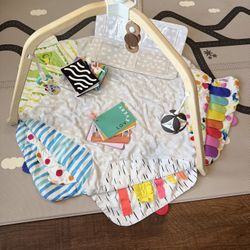 Lovevery Play Gym