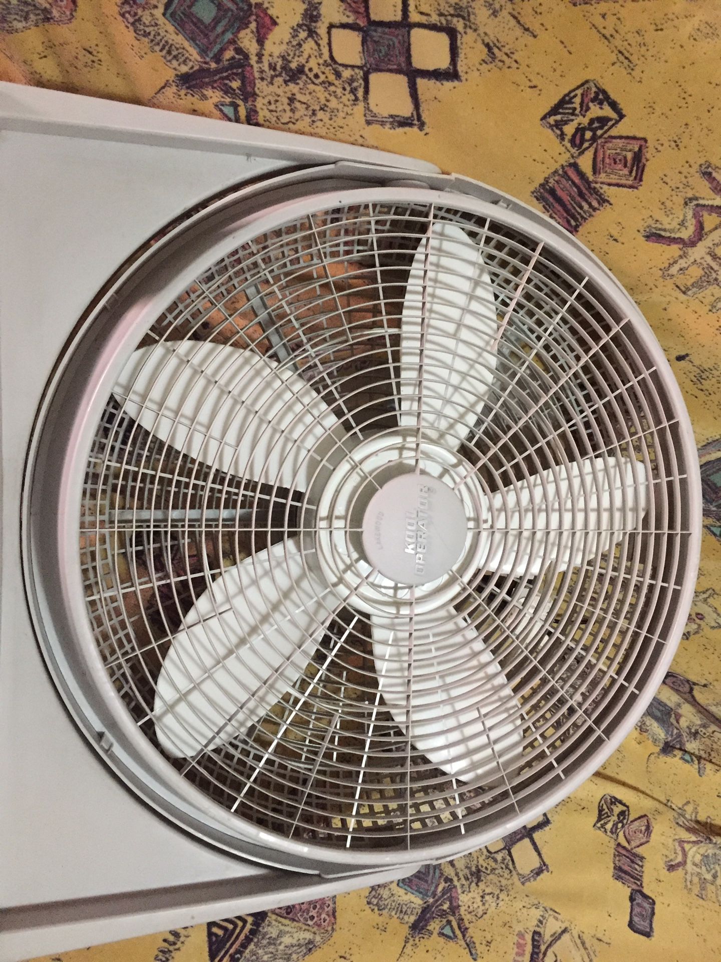 Kool operator Lakewood 20’