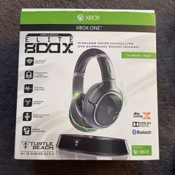 Turtle Beaches