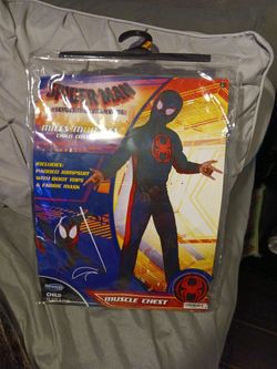 Childs  spiderman costume