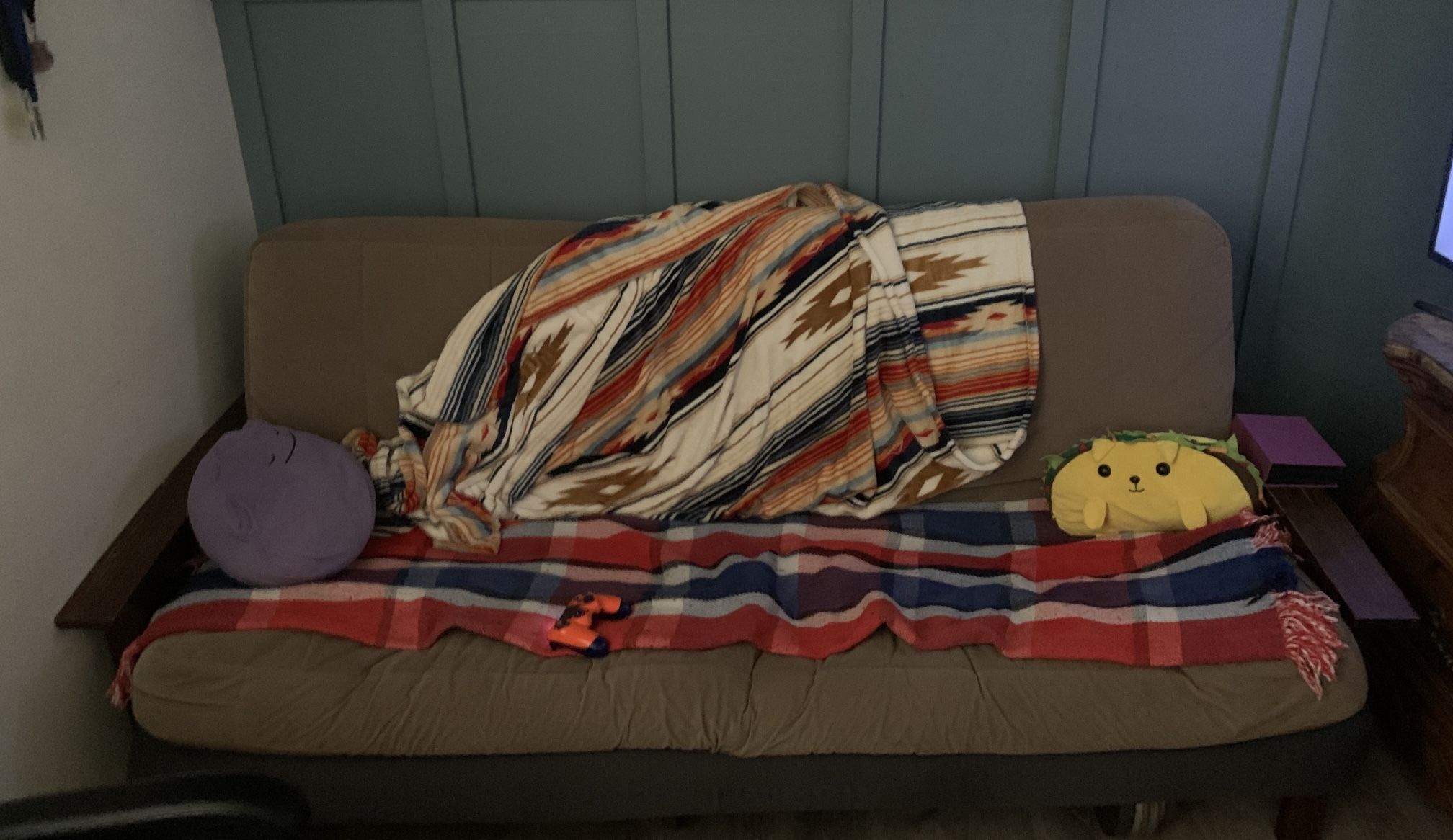 Futon Couch