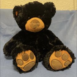 Benjamin The WishPet