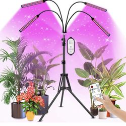 Grow Lights for Indoor Plants, Plants Light with 100W Smart 192 LEDs Red Blue Spectrum with 4/8/12 Hours Timer, Plant Grow Lights Indoor for Seedling,
