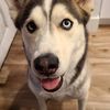 Sam