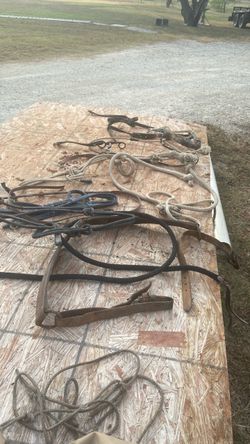 Old Horse tack