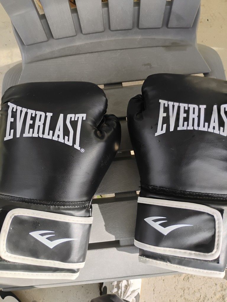 Everlast Boxing Gloves
