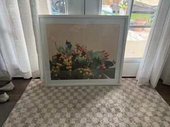 Cactus Artwork / Framed Photo