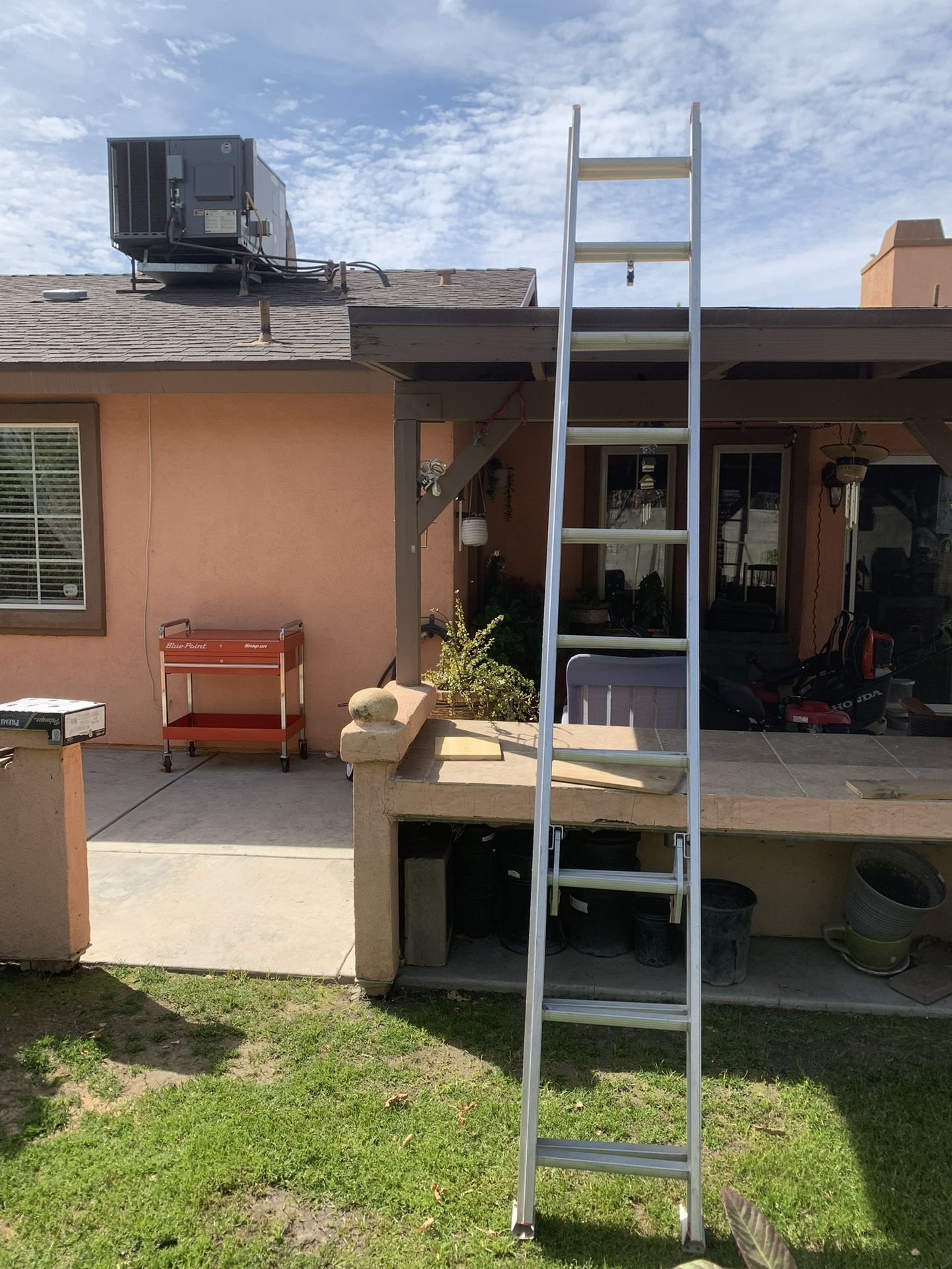 Werner 20ft Ladder