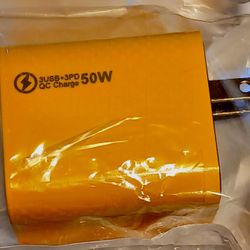 50 Watt Wall Adapter 