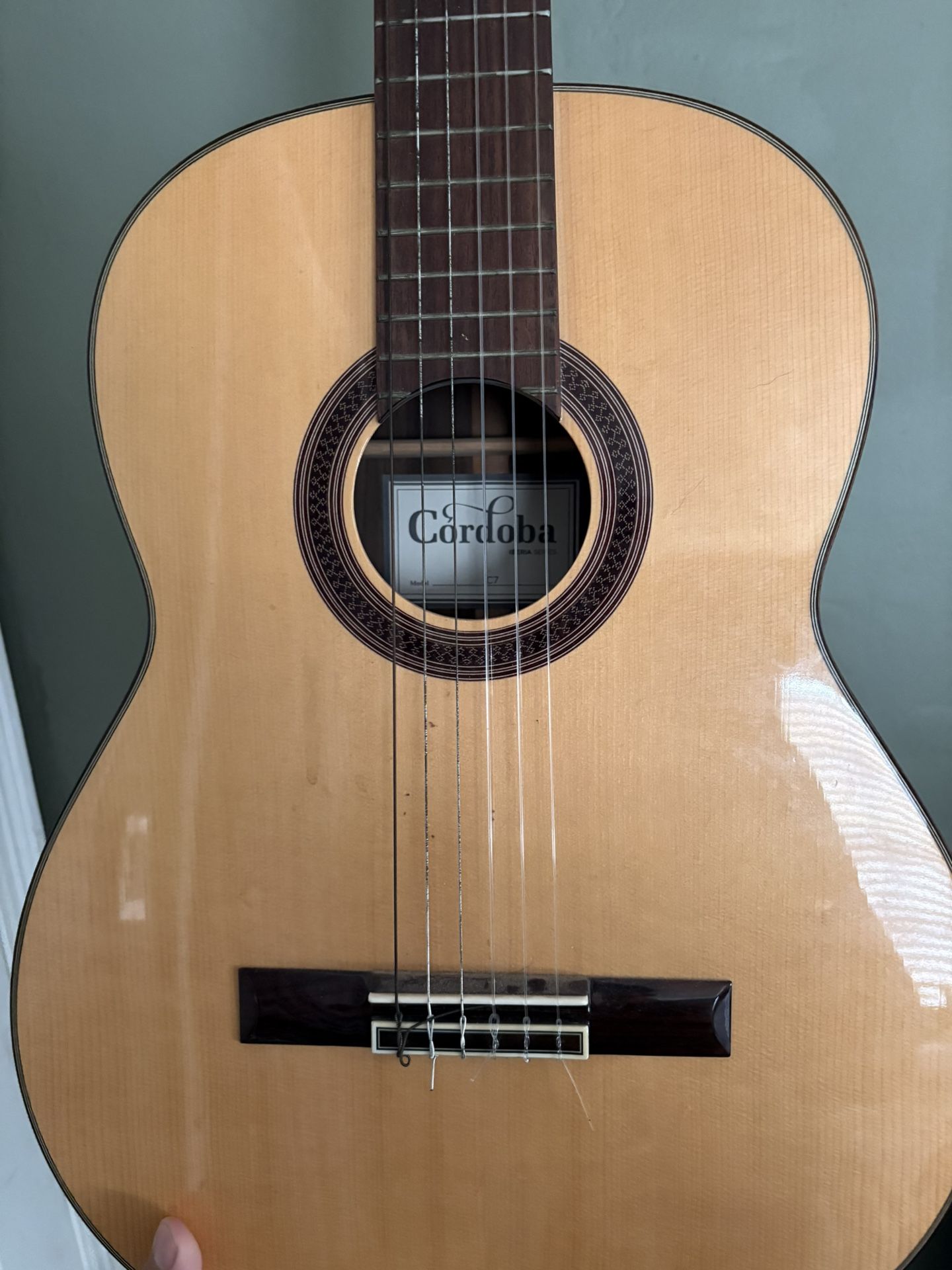 Acoustic Guitar