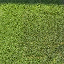 Artificial Turf