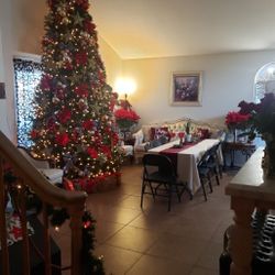  🎄 16 Foot Artificial Christmas Tree