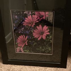 Picture Of Pink Flowers