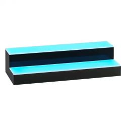 938# LED Lighted Liquor Bottle Display, 2 Tiers 20 Inches Whiskey Rack, Supports USB, Illuminated Home Bar Shelf with RF Remote & App Control, 9 Stati