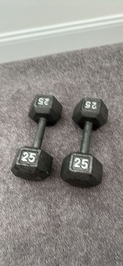 25 LB dumbbell set