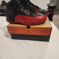 Jordan Flu Game 12's Size 12