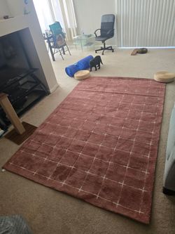 Pink rug 6' x 9'