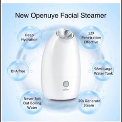 Facial Steamer