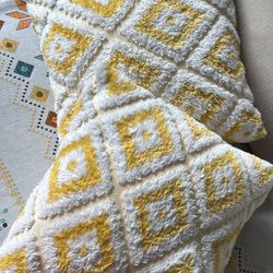 2 Pillow Case With Fillings 