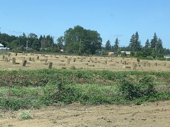 pacas. (bales).