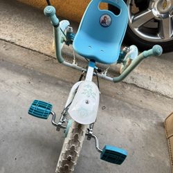 Frozen Bike