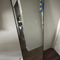 Tall Mirror With Kick Stand $100 Or Best Offer
