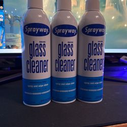 Sprayway Glass Cleaner