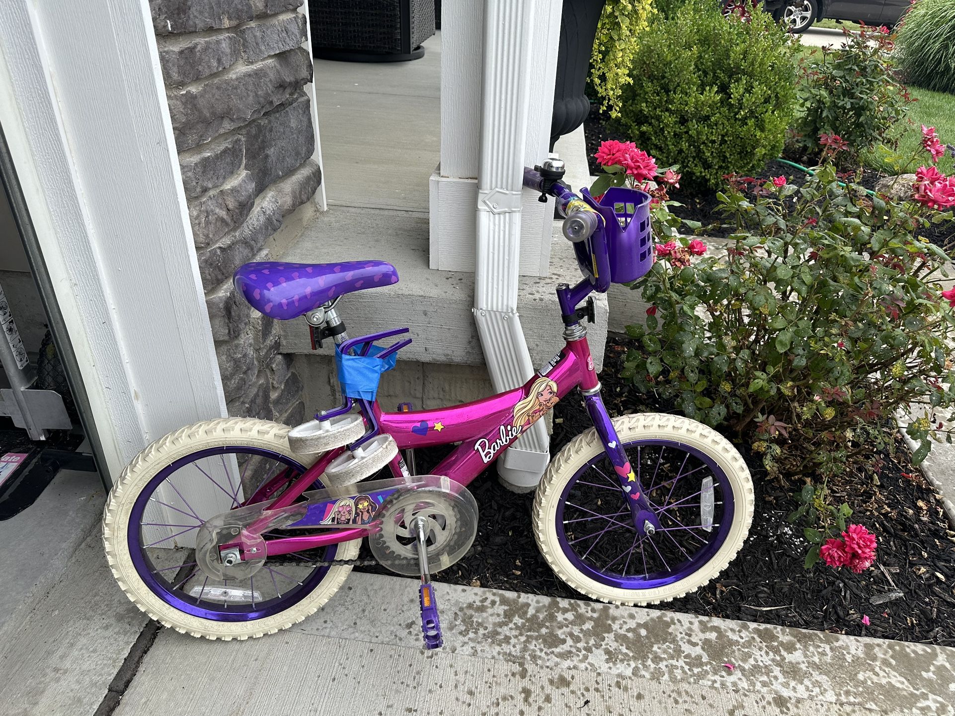 Bike Toddler/young Kid