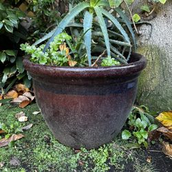 Set of 2 Premium Glazed Ceramic Outdoor Planters (Large & XL)