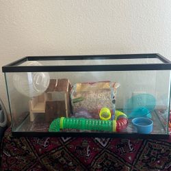 20 Gallon Tank With Hamster Stuff 