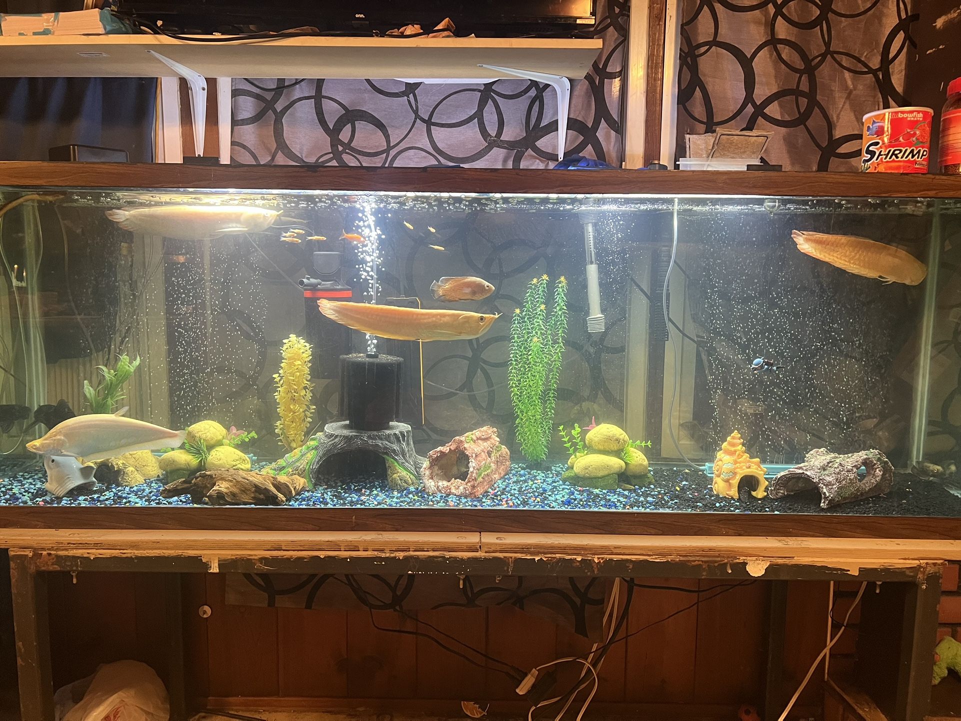 135 Gallon Tank W Stand 