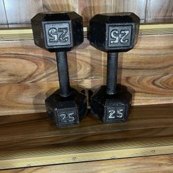 Set Dumbbells 25 Lbs Each 