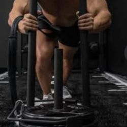 Shogun Multipurpose Sled 